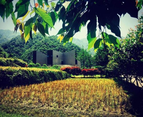 Dove arte, storia e natura si incontrano: il nuovo Ningbo Duao Art Museum Dove arte, storia e natura si incontrano: il nuovo Ningbo Duao Art Museum