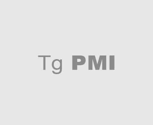 Tg PMI – intervista Massimo Roj