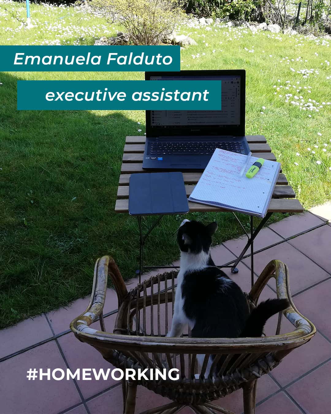 falduto