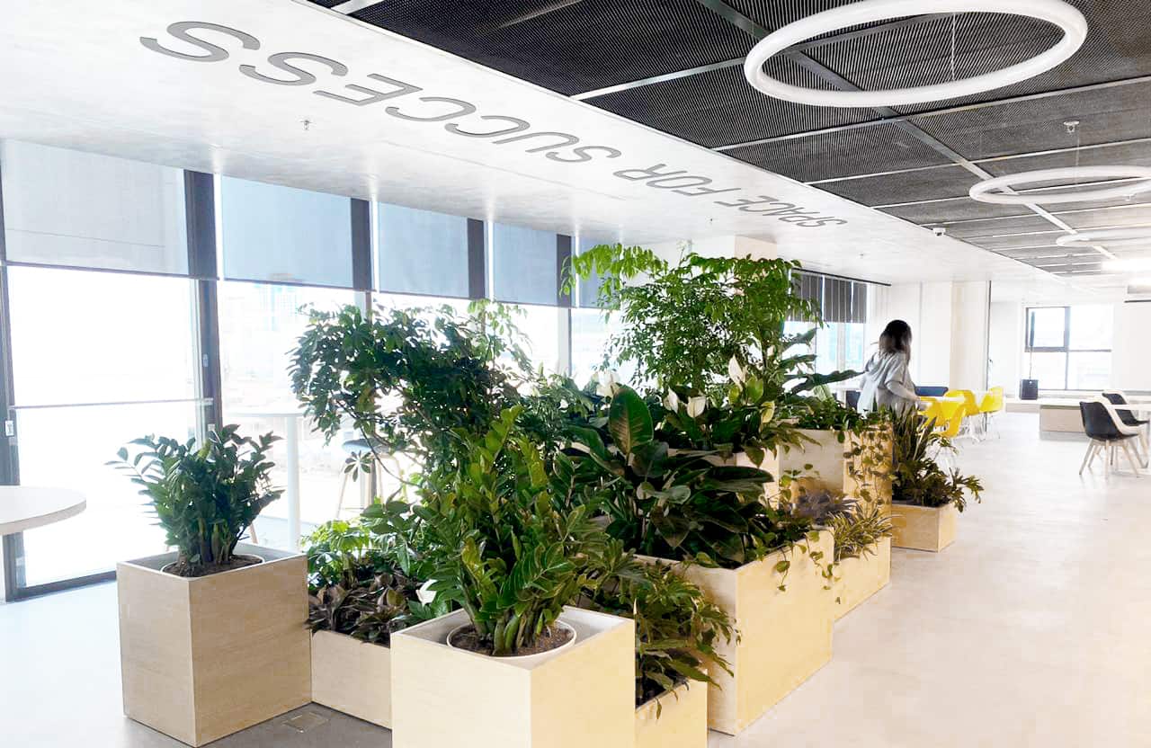 Dreamplex Accelerator Tower